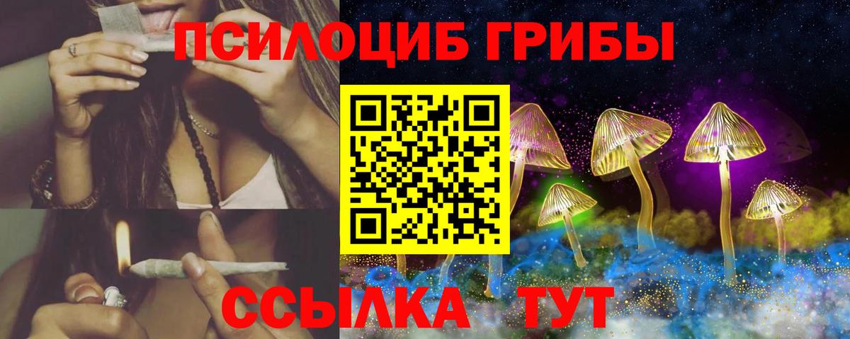 Галлюциногенные грибы мицелий Вязники