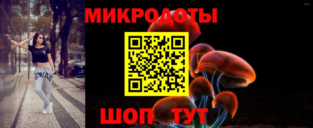Вязники  закладка  Вход с VPN  Псилоцибиновые грибы Magic Shrooms 